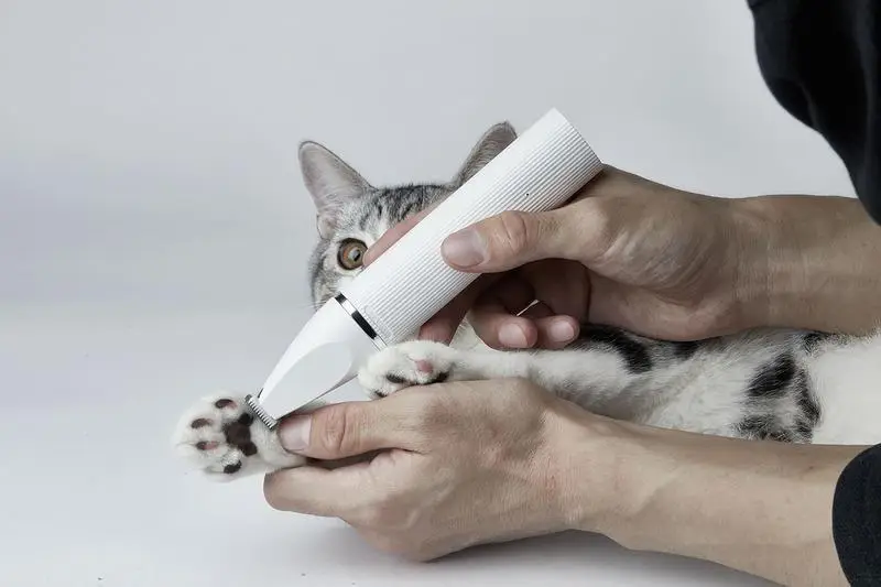 ᐉ Машинка для стрижки животных PETKIT Pet Trimmer Pro PK413 2в1