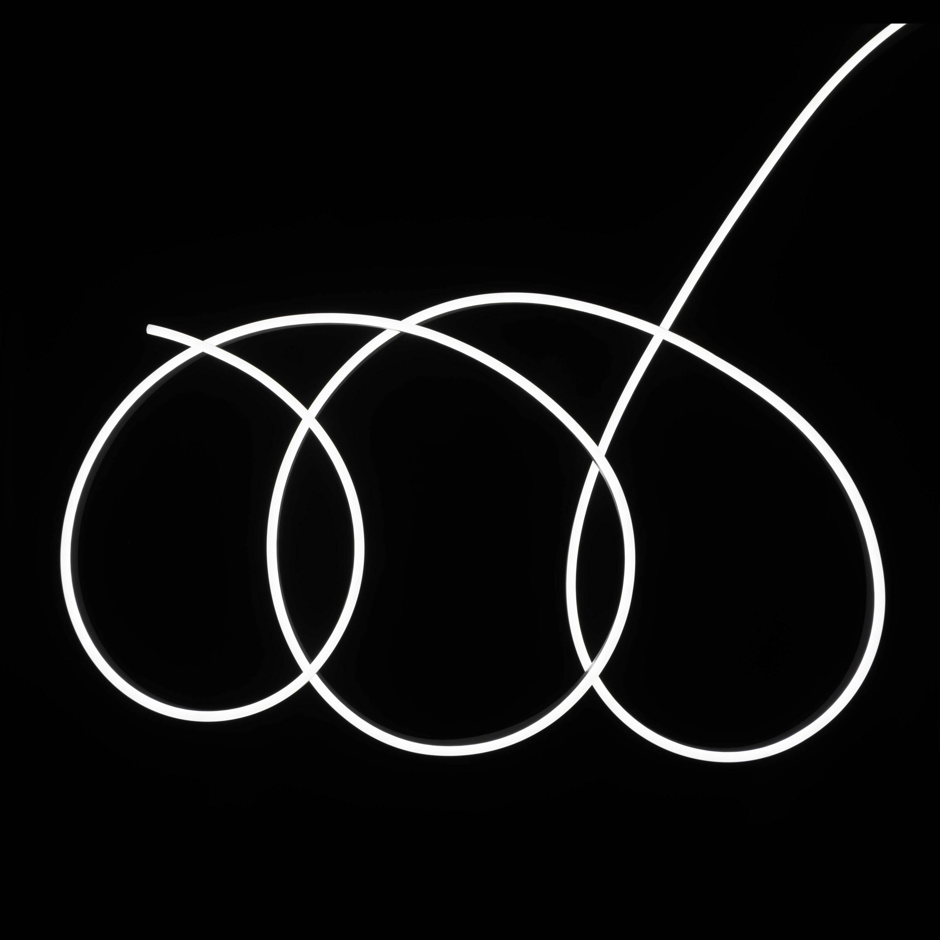 Світлодіодна стрічка неонова Prolum Series SL 6x12 IP68 220V Білий (160020) - фото 3 Світлодіодна стрічка неонова Prolum Series SL 6x12 IP68 220V Білий (160020) - фото 3