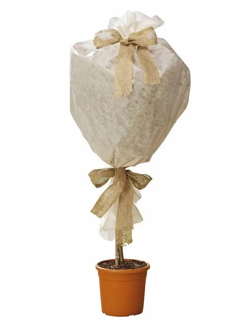 Защитное покрытие PARKSIDE для растений от мороза и вредителей 80x500 см (2815557884)