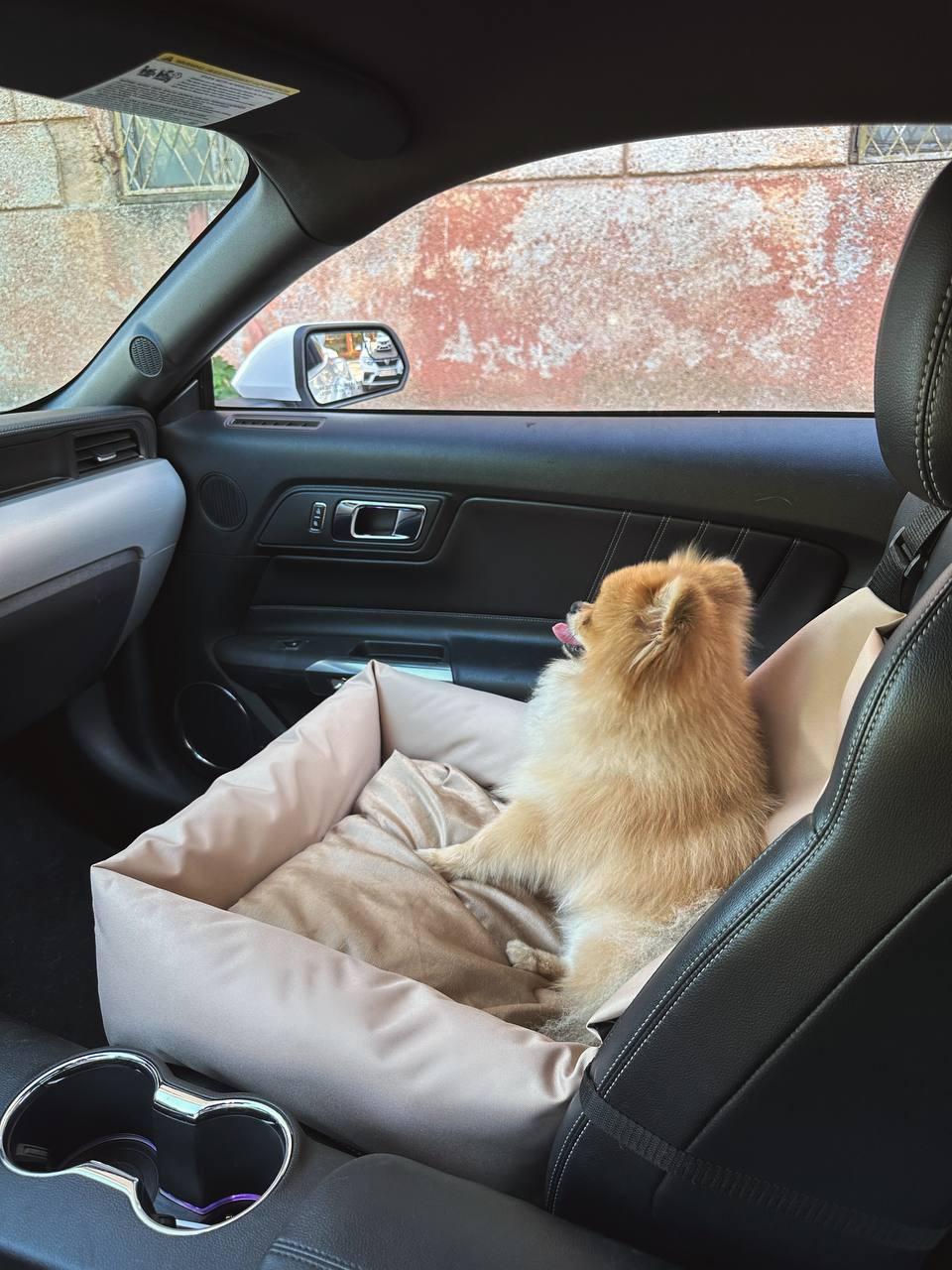 Автокрісло-автогамак Incor для собак і кішок зі знімним чохлом 52x52 см Бежевий (Б-52) - фото 11 Автокрісло-автогамак Incor для собак і кішок зі знімним чохлом 52x52 см Бежевий (Б-52) - фото 11