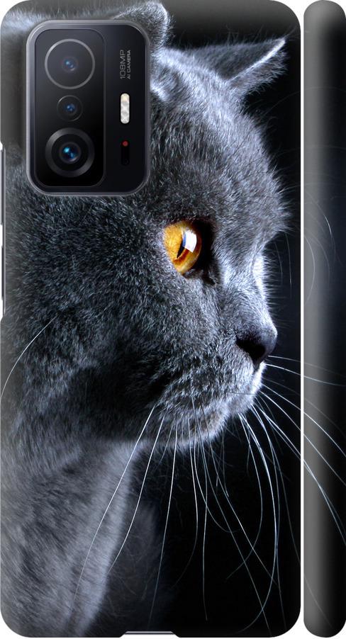 Чехол на Xiaomi 11T Красивый кот (3038m-2487-42517) Чехол на Xiaomi 11T Красивый кот (3038m-2487-42517)