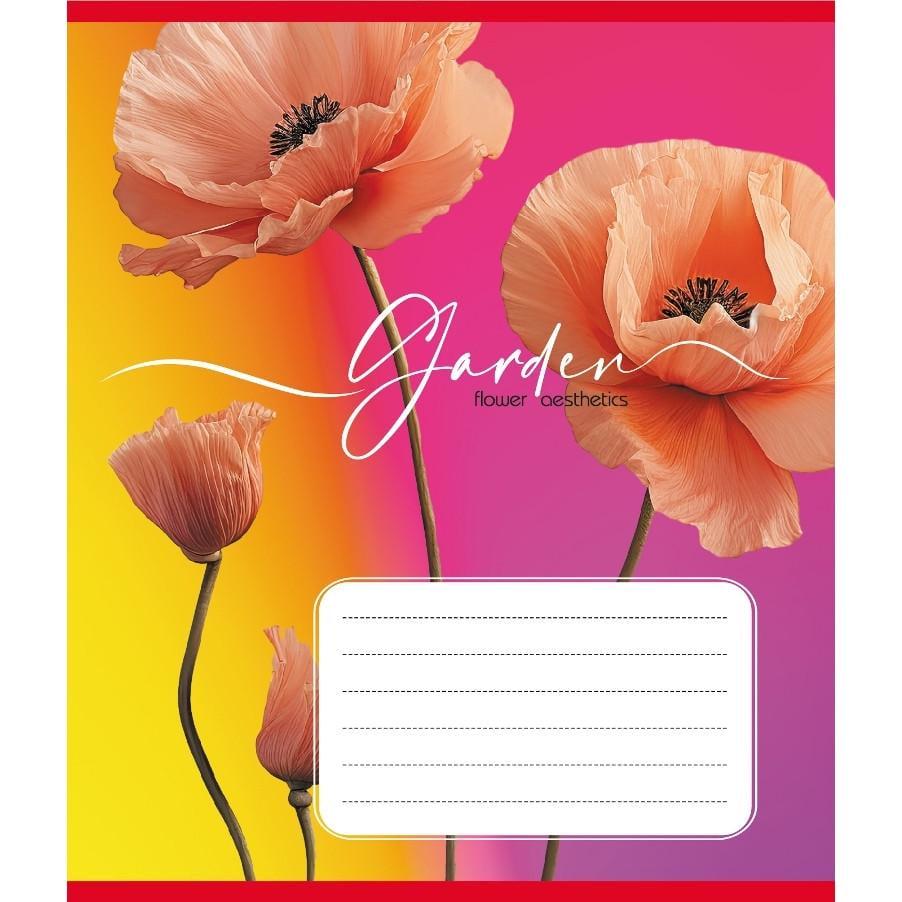 Шкільний зошит Естетика 024-550443K-5 в клітинку 24 аркуші (RLT55306)