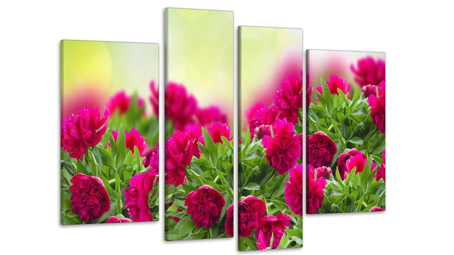 Картина модульная Пионы Art-172_4  (75х118 см)