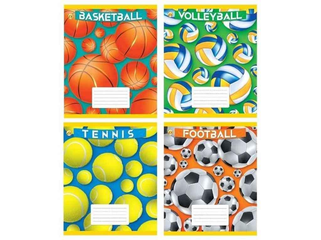 Тетрадь в косую линию Тетрада 12 л. 25 шт. твердая 43108 Мячики (1064063)