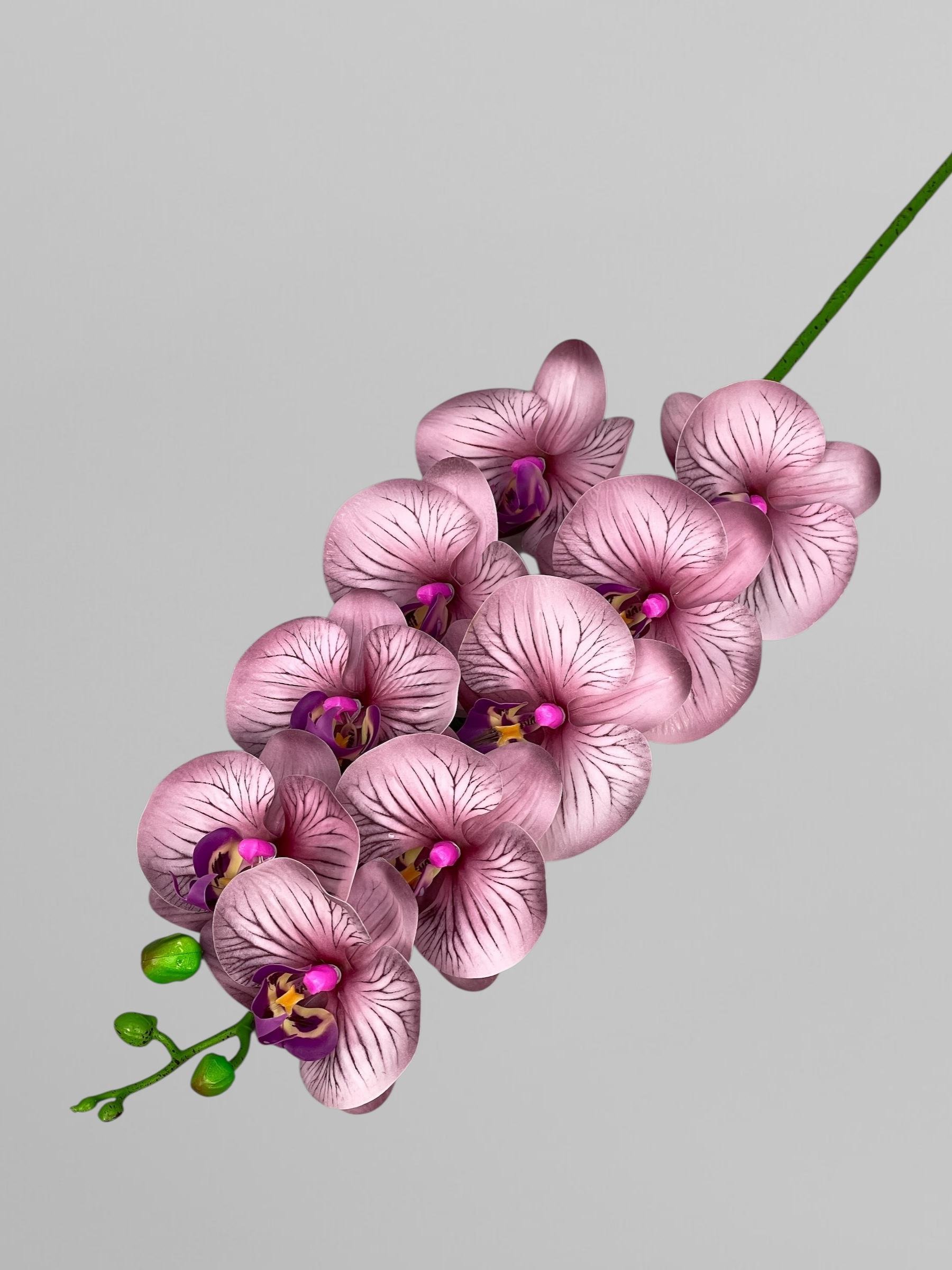 Искусственная орхидея Фаленопсис латексная на 9 соцветий 96 см Бдительно-розовый с полосками (К01134)