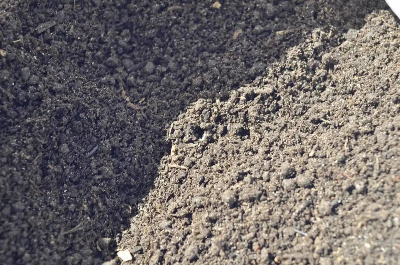 Биогумус 20 кг (a6d7e0ce) - фото 3