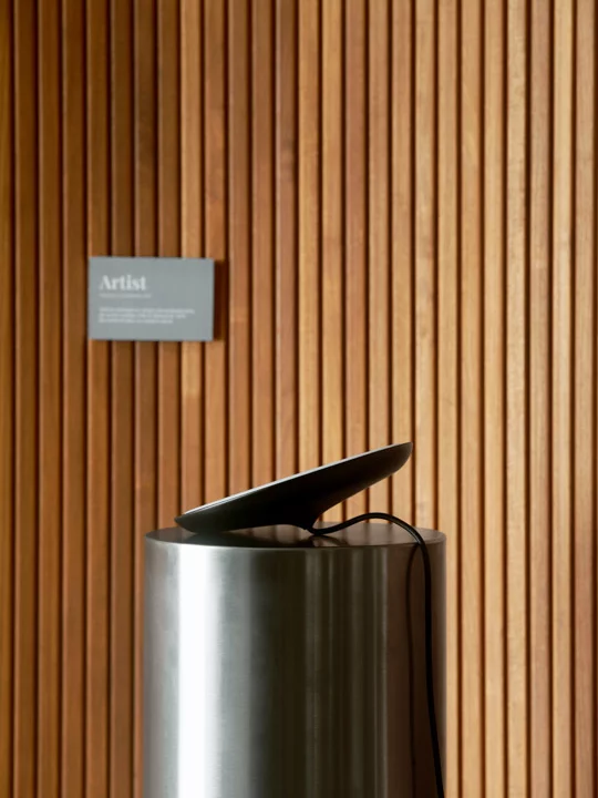 Люстра DFTP 2420203003 Artist 25 (2420203003) - фото 3