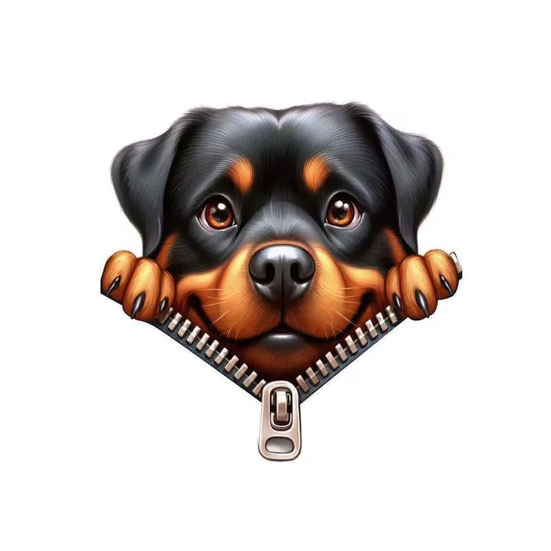 Термонаклейка Ротвейлер на молнии для одежды 8 см (2743563943)