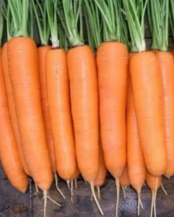 Насіння Морква Bermuda F1 ТД Гекса-Україна 100 000 шт. 2,2-2,4 мм 01-17-151 (IR01042) Насіння Морква Bermuda F1 ТД Гекса-Україна 100 000 шт. 2,2-2,4 мм 01-17-151 (IR01042)