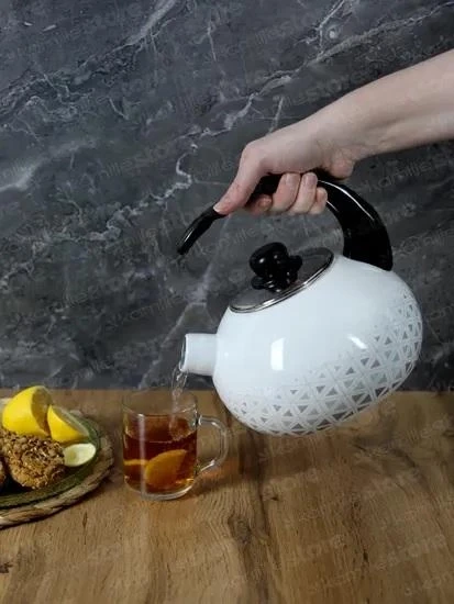 Чайник Kamille 2,5 л (KM-1037) - фото 2