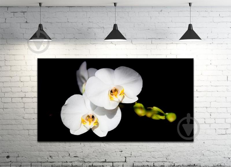Картина на холсте ProfART S50100-c378 100 х 50 см Цветы (hub_nAAn87705)