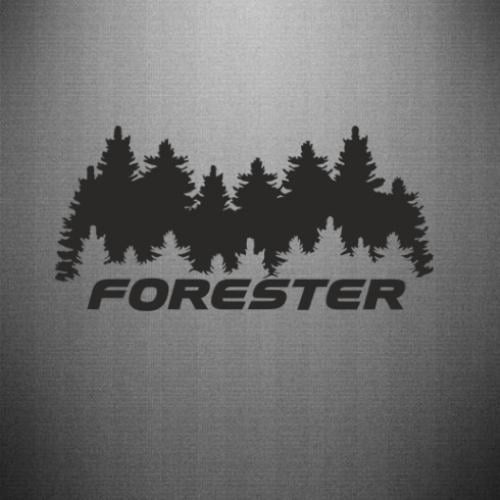 Наклейка Subaru Forester 45x22,1 см Черный (21560871)