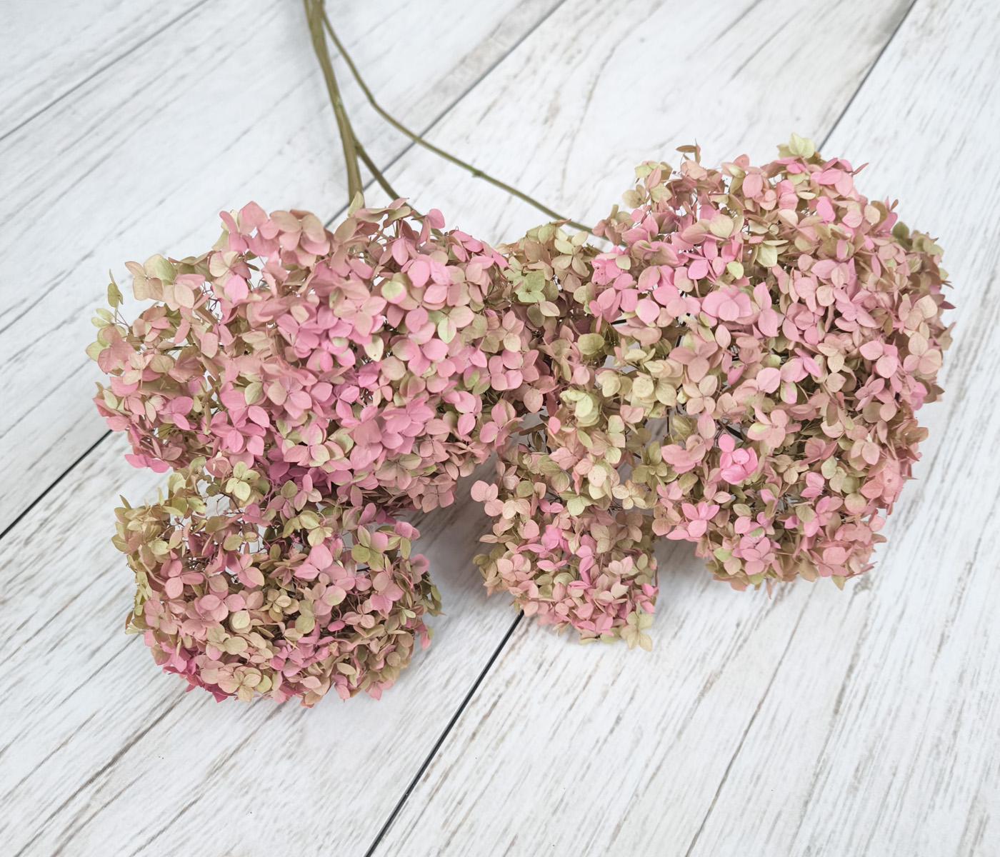 Сухоцвіти квіти гортензії 3-4 шт. Рожевий (2702921406)
