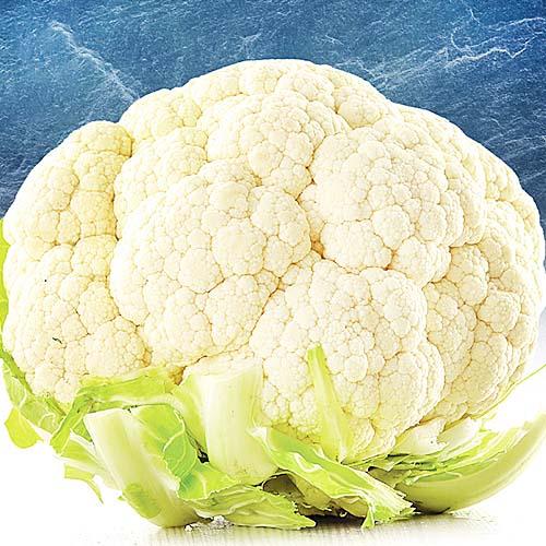 Семена Капуста Florium цвітна Галеон (17570) Семена Капуста Florium цвітна Галеон (17570)