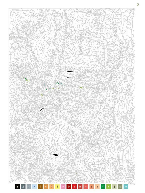 Раскраска-антистресс Best of Bestiaire disney по номерам 100 иллюстраций (30116724) - фото 6