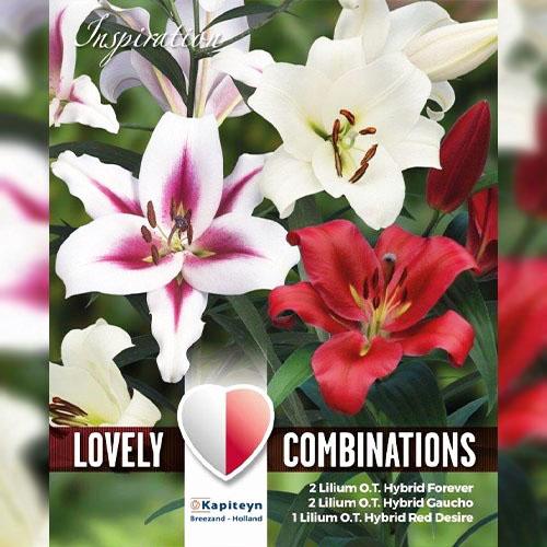 Лилия Florium White and Pink Shades комбо (13870) - фото 2 Лилия Florium White and Pink Shades комбо (13870) - фото 2