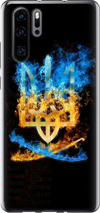 Чехол на Huawei P30 Pro Герб (1635u-1621-42517)