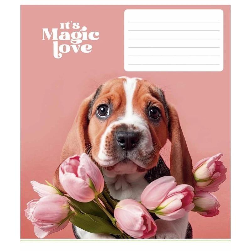 Зошит учнівський "It's a magic love" 012-3300L-5 в лінію 12 аркушів