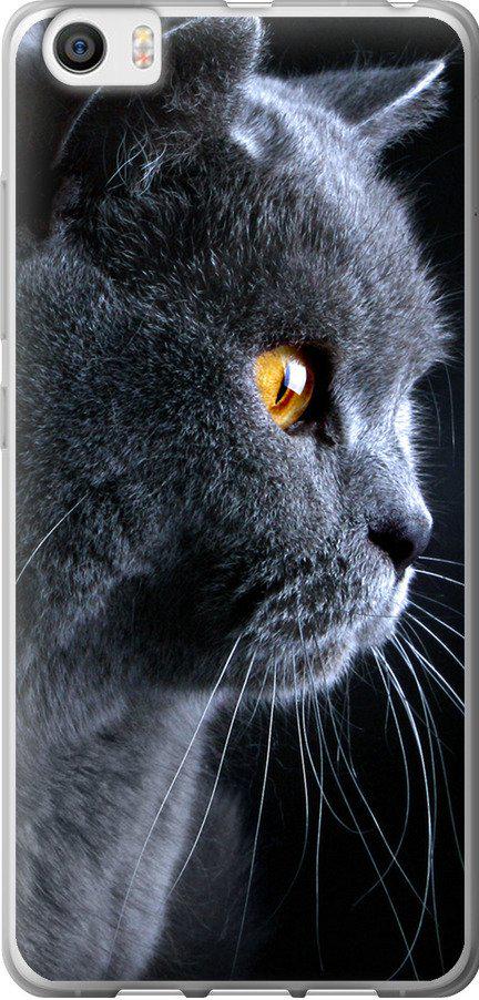 Чехол на Xiaomi Mi5 Красивый кот (3038u-180-42517)
