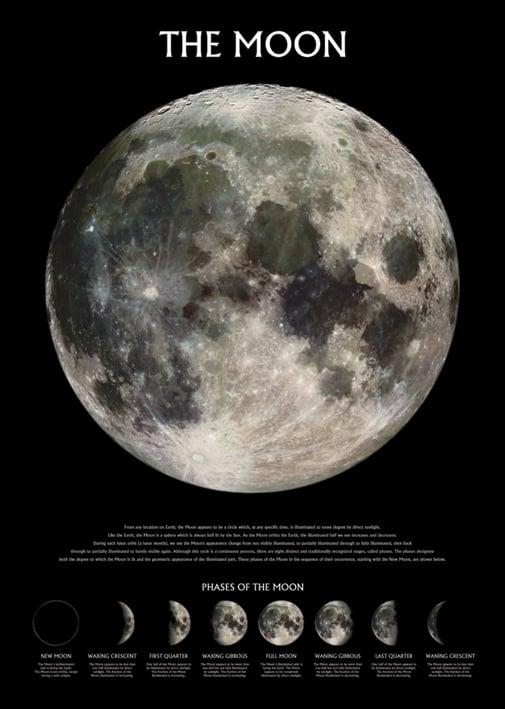 Постер плакат Луна Фазы/The Moon Phases 61x91,5 см