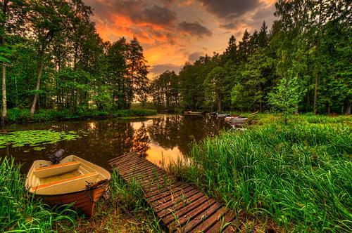 Картина на холсте Природа 55х85 см (PR249L)