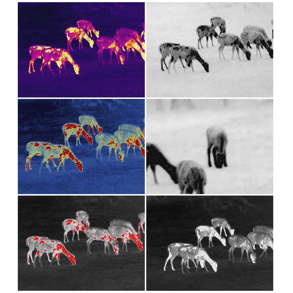 Монокуляр тепловизионный GUIDE TrackIR 35 мм 400x300px (db747106) - фото 3 Монокуляр тепловизионный GUIDE TrackIR 35 мм 400x300px (db747106) - фото 3