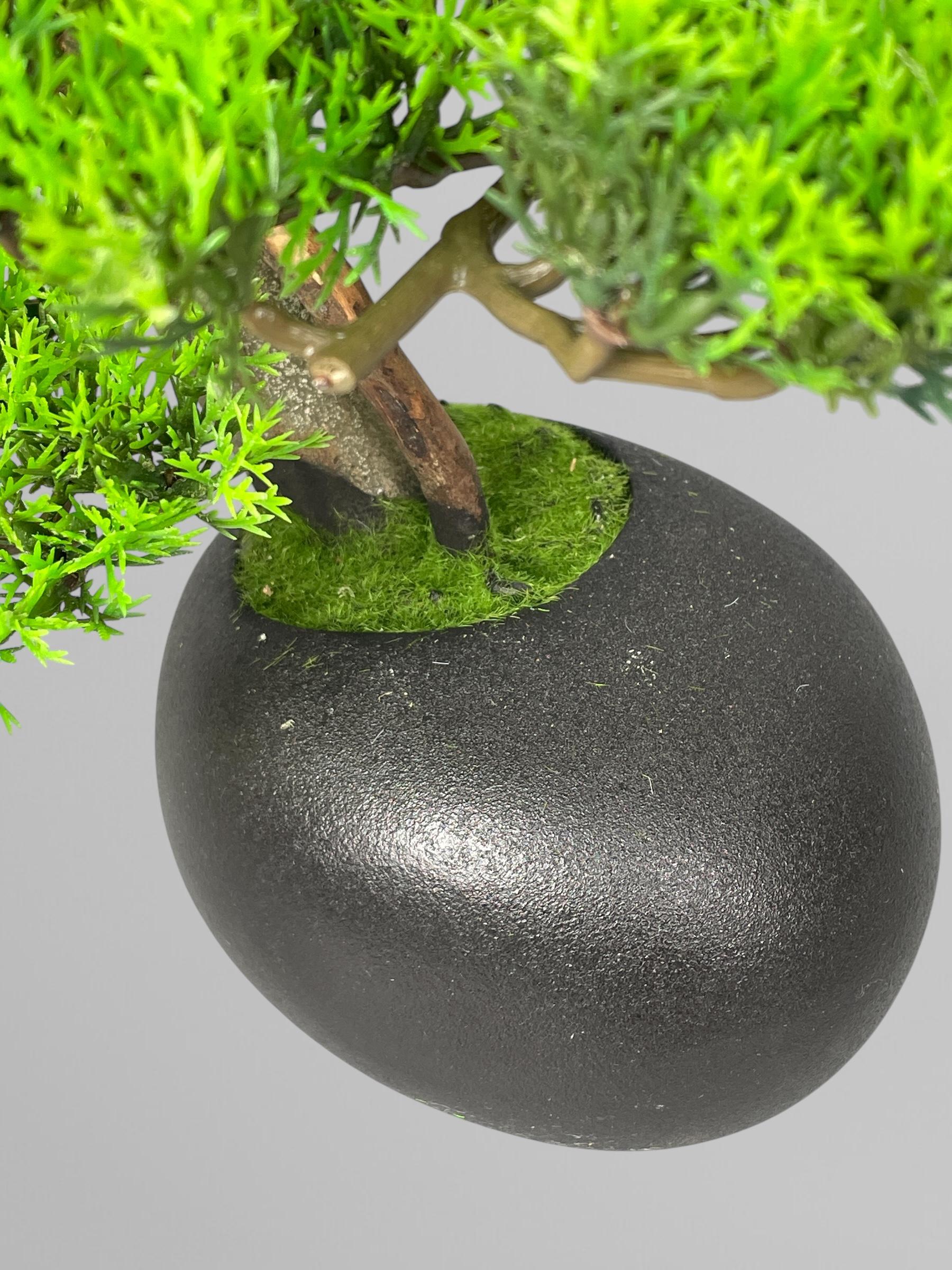 Бонсай 30 см Зеленый (Б004) - фото 4 Бонсай 30 см Зеленый (Б004) - фото 4