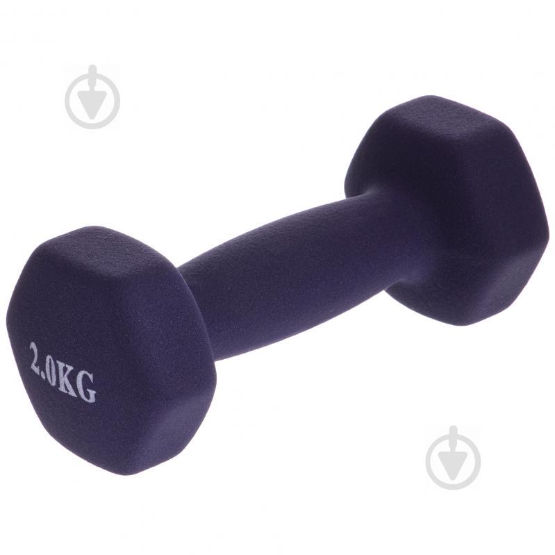 Гантели для фитнеса SP-Planeta Радуга TA-0001-2 2 Фиолетовый