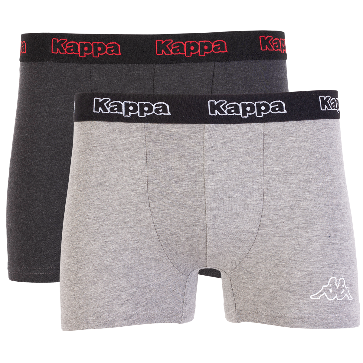 Трусы-боксеры Карра Men's Boxer M 2 шт. Anthracite/Gray (304JB30-956