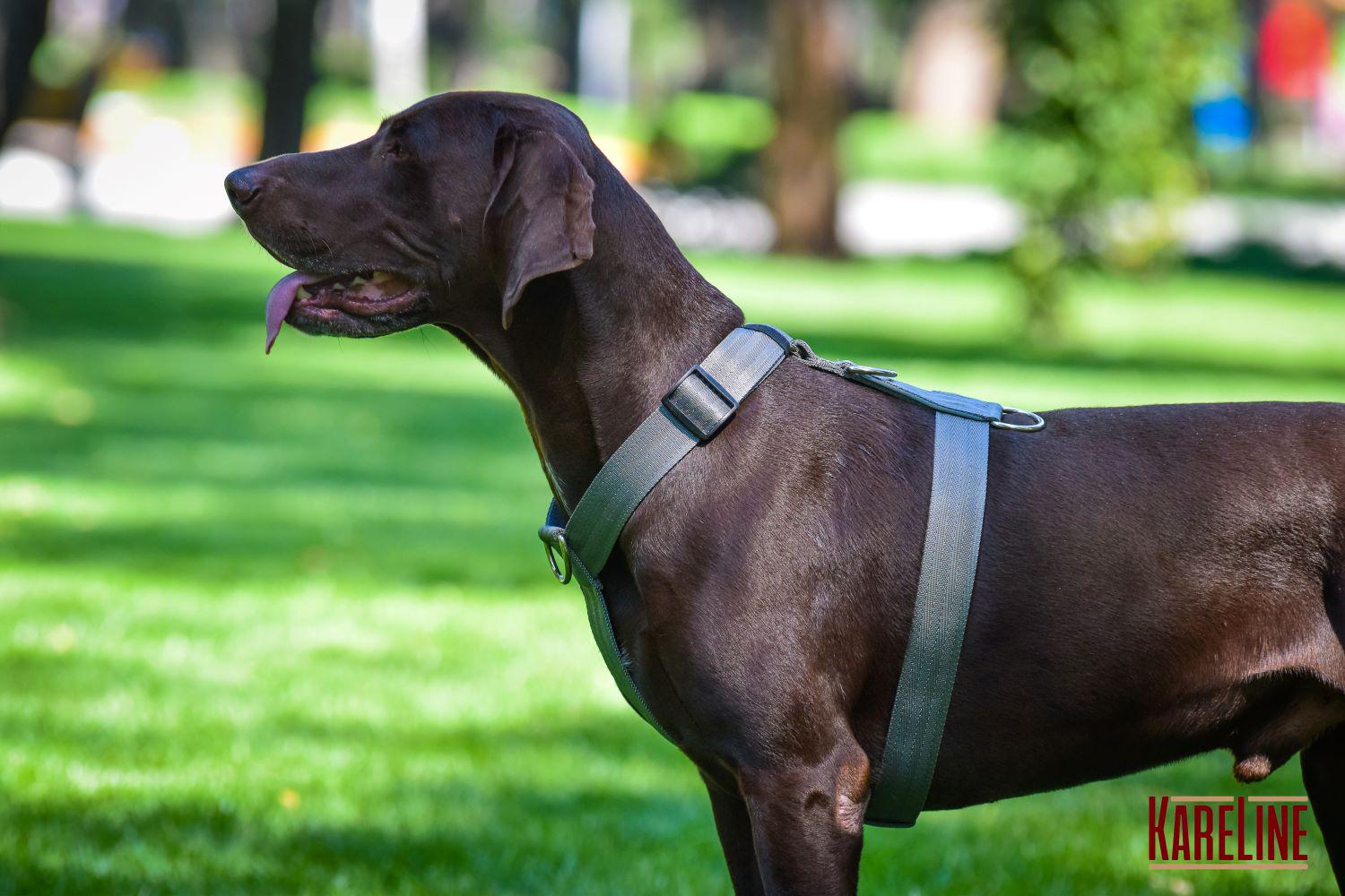 Шлея анатомическая KareLine из нейлона со светоотражающими элементами 25 мм А:340-540 мм В:470-690 мм Хаки (0976/15) - фото 5