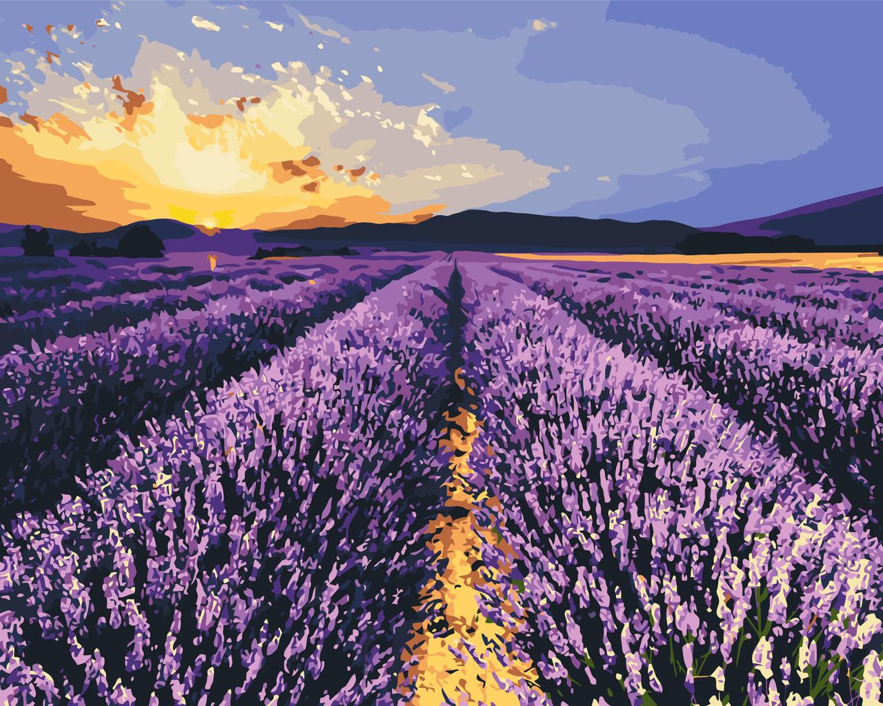 Картина по номерам ORIGAMI Лавандовое поле Пейзаж 40х50 см (LW 30610)