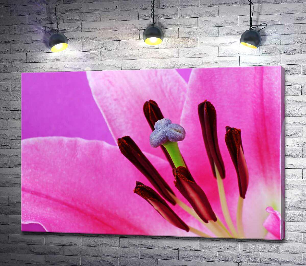 Картина ArtPoster Яркая серединка розовой лилии 100x68 см Модуль №1 (002850)