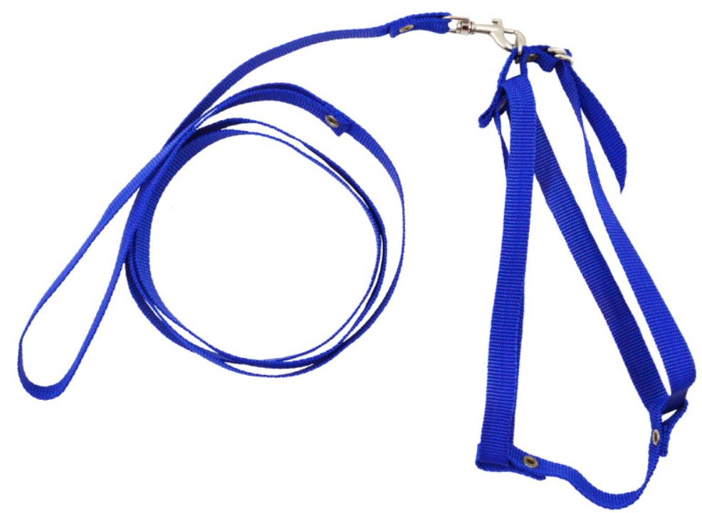 Шлеяка з повідцем човник капроновий 30х30-130 см Синій (00000006973)