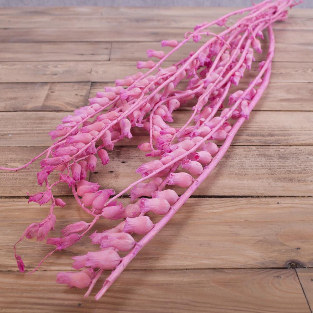 Сухоцвет колокольчик Розовый (2189-1)