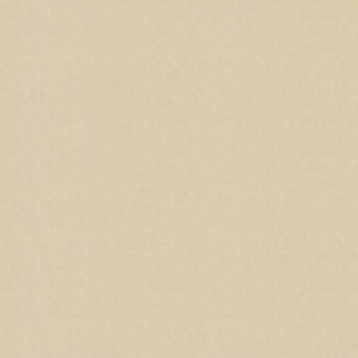 Обои виниловые на флизелиновой основе A.S.creation Mystique Коричневый (95783-6)