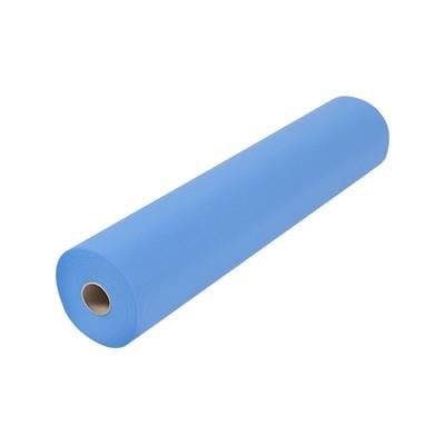 Простыни в рулоне POLIX PRO&MED из спанбонда 0,6x100 м Голубой (2538725577)
