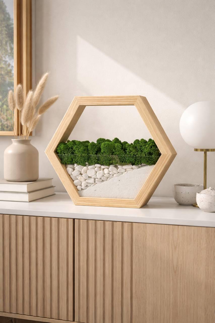 Шестиугольник-мосариум со стабилизированным мхом 30 см
