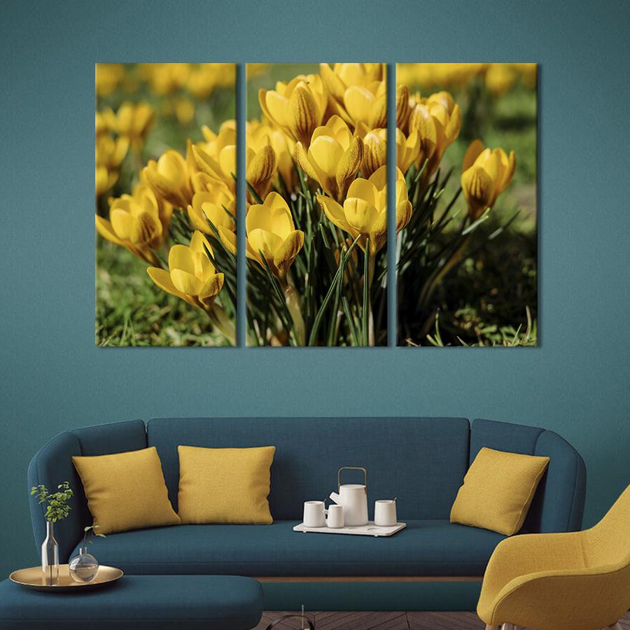Картина на полотні триптих Красивий жовтий крокус 156x100 см (796-31)
