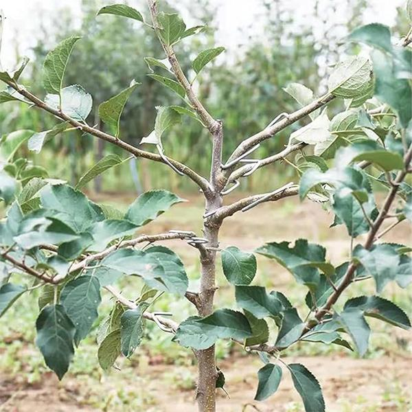 Опоры для веток деревьев металлические M00573-2 18 шт. - фото 8 Опоры для веток деревьев металлические M00573-2 18 шт. - фото 8