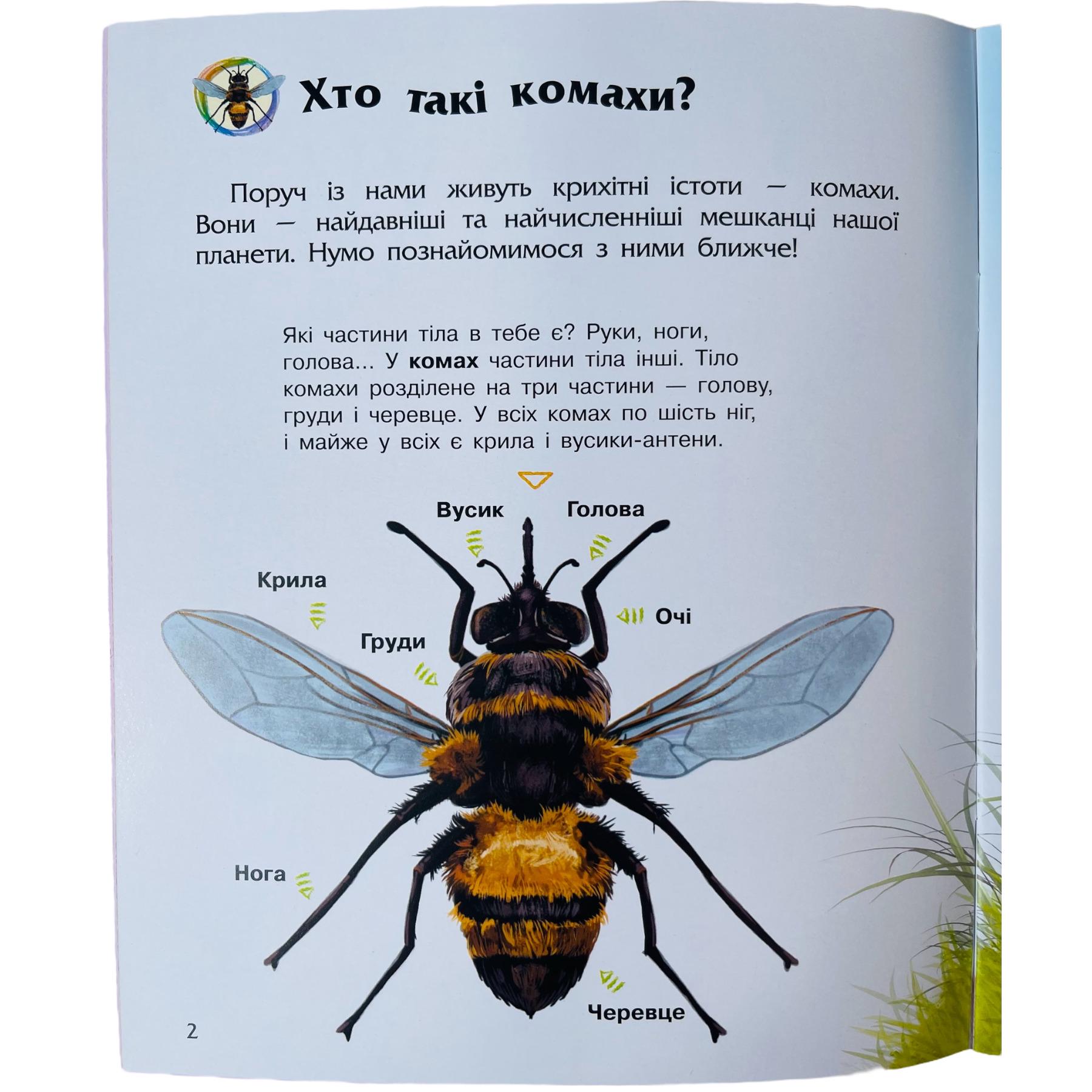 Детская книга Ранок "Комахи" (112049) - фото 3
