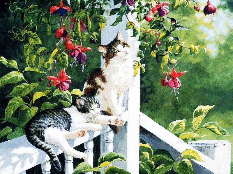 Алмазная мозаика набор вышивки Котята на веранде 20x30 см (23651)