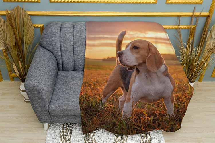 Плед Beagle in the field плюш двухслойный 150х210 см (113440-3)