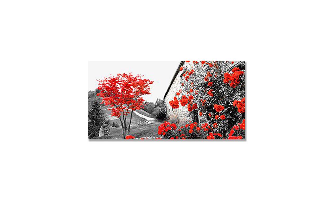 Наклейка виниловая на стол Zatarga Красное дерево 600х1200 мм (1274514195) Наклейка виниловая на стол Zatarga Красное дерево 600х1200 мм (1274514195)