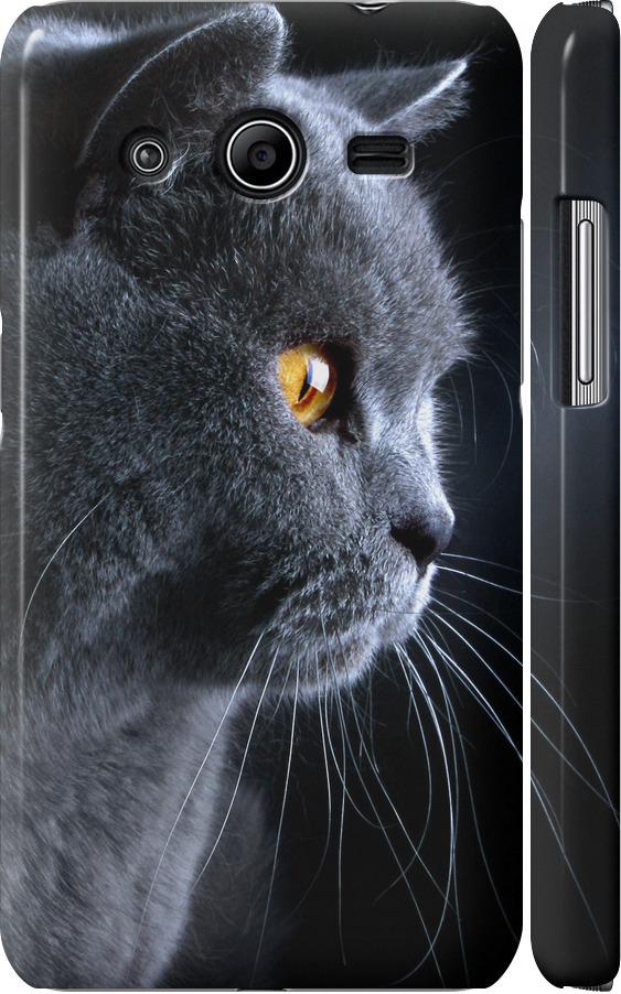 Чехол на Samsung Galaxy Core 2 G355 Красивый кот (3038m-75-42517)