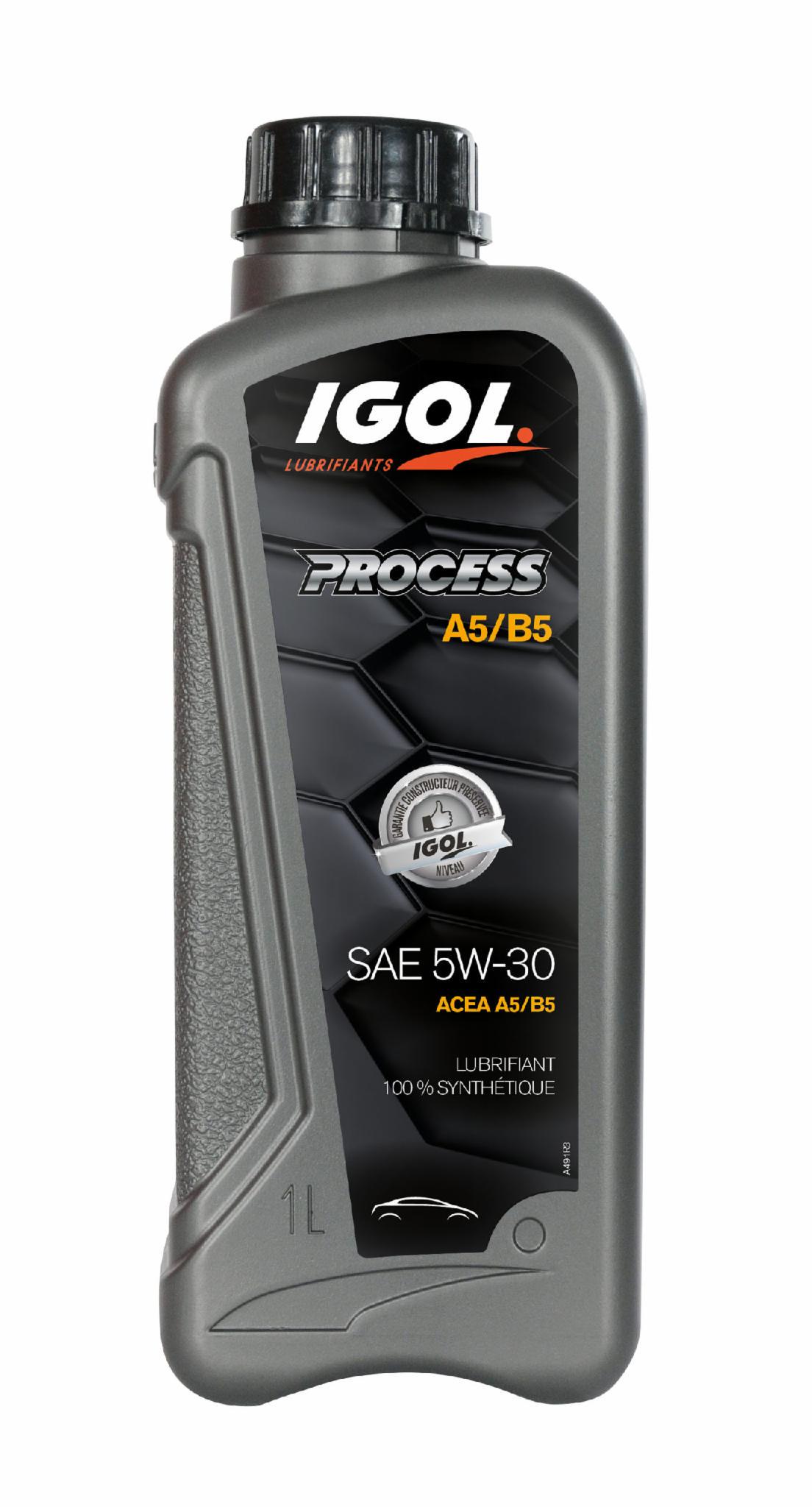 Масло моторные IGOL PROCESS A5/B5 5W-30 1 л (20328633)