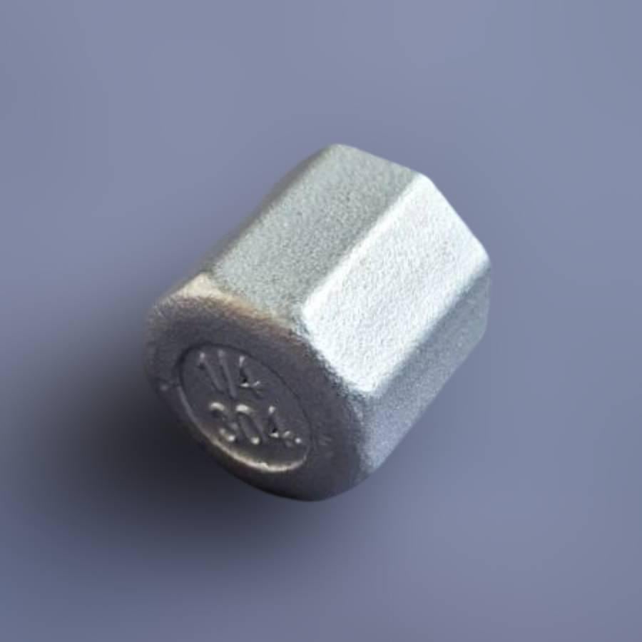 Заглушка муфтова шестигранна DN8 BSPP н/ж сталь AISI304 Class-150 внутрішня різьба 1/4" (29203193) - фото 4 Заглушка муфтова шестигранна DN8 BSPP н/ж сталь AISI304 Class-150 внутрішня різьба 1/4" (29203193) - фото 4