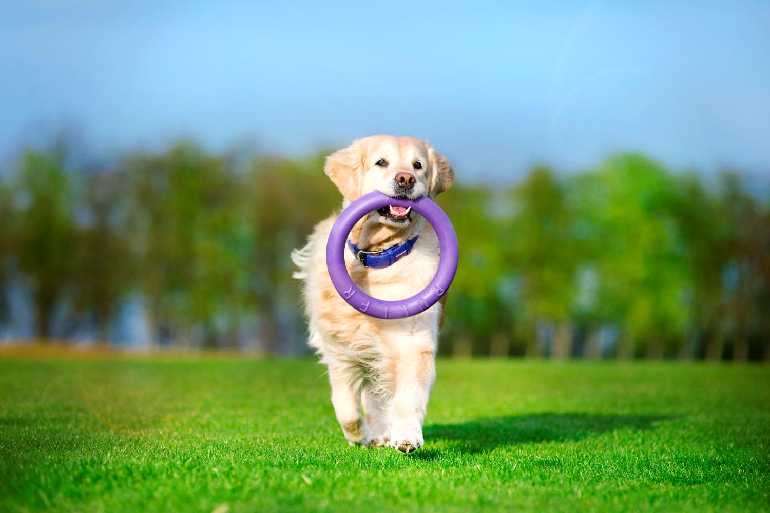 Тренувальний снаряд для собак Puller Standard 28 см (6490) - фото 25