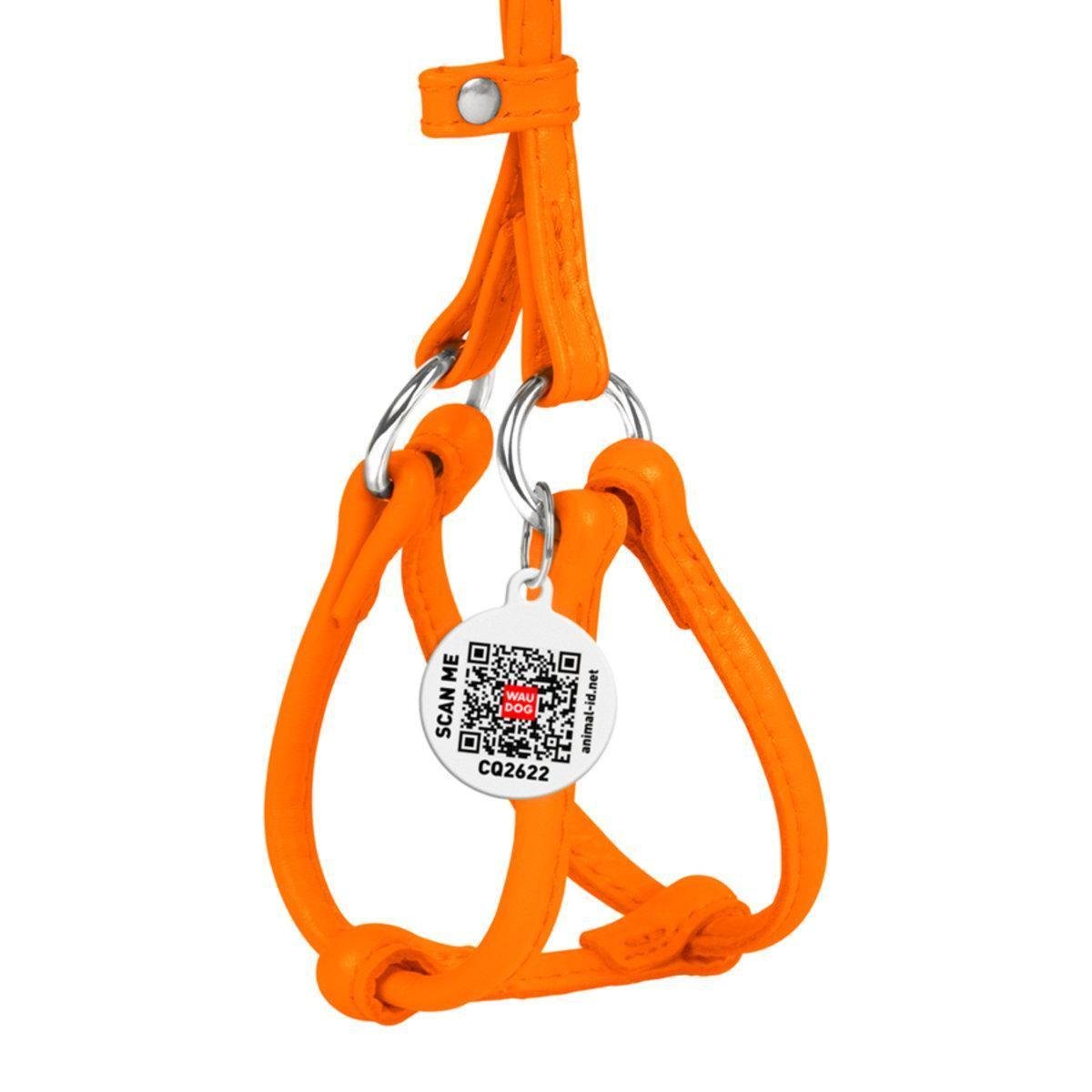 Шлея з повідцем для собак Waudog Glamour з QR паспортом/кругла/шкіряна 6 мм х 26-46 см х 30-50 см Помаранчевий (34014 Col) Шлея з повідцем для собак Waudog Glamour з QR паспортом/кругла/шкіряна 6 мм х 26-46 см х 30-50 см Помаранчевий (34014 Col)