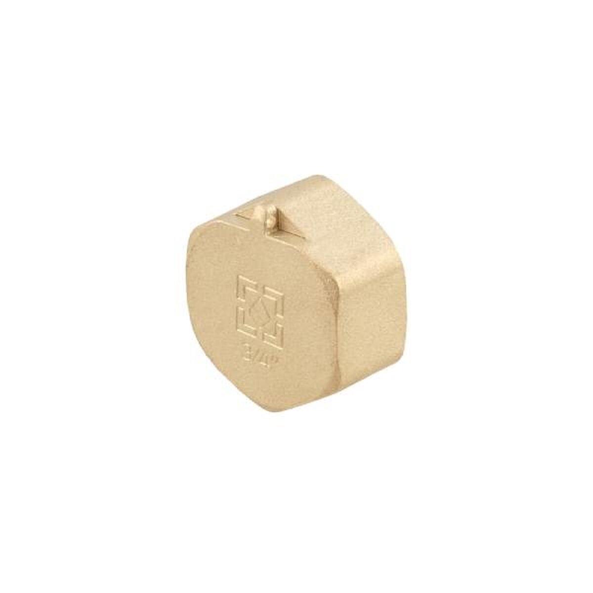 Заглушка Raftec GOLD под пломбу ВВ 3/4" (SW-103833)