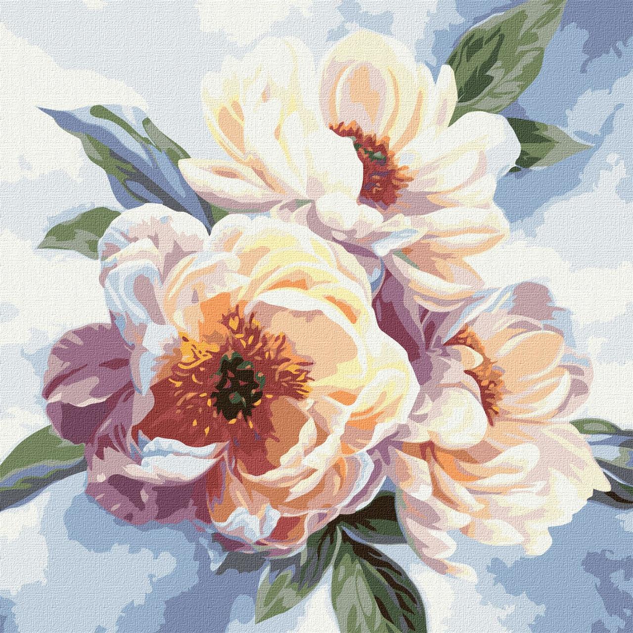 Картина по номерам Идейка Красота пионов KHO3213 холст на подрамнике 40х40 см (1769649914)